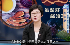 被忽视的健康密码：正气与现代扶正疗法
