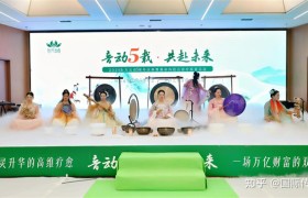 音动五载 润心赋能—东方五音五音疗疾音乐会郑州圆满举行